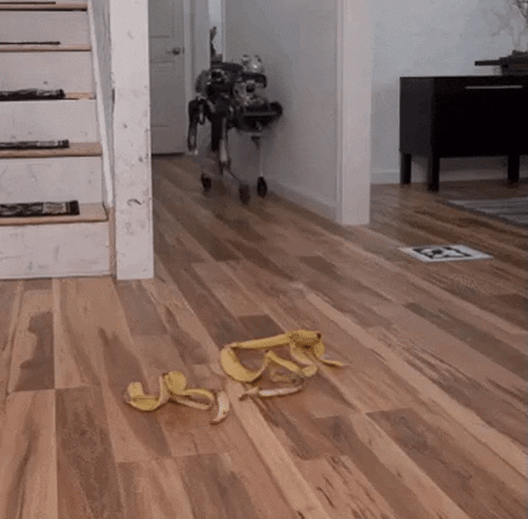 шнобельбанан.gif