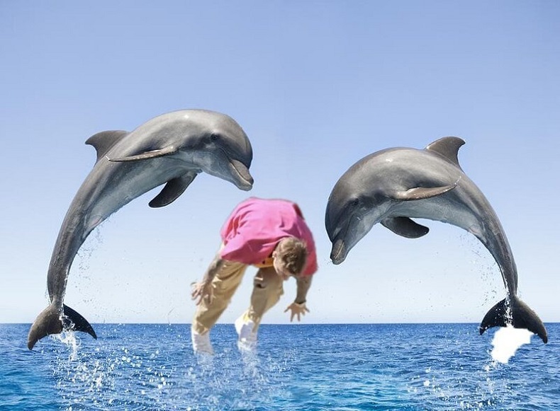 бибер и дельфины